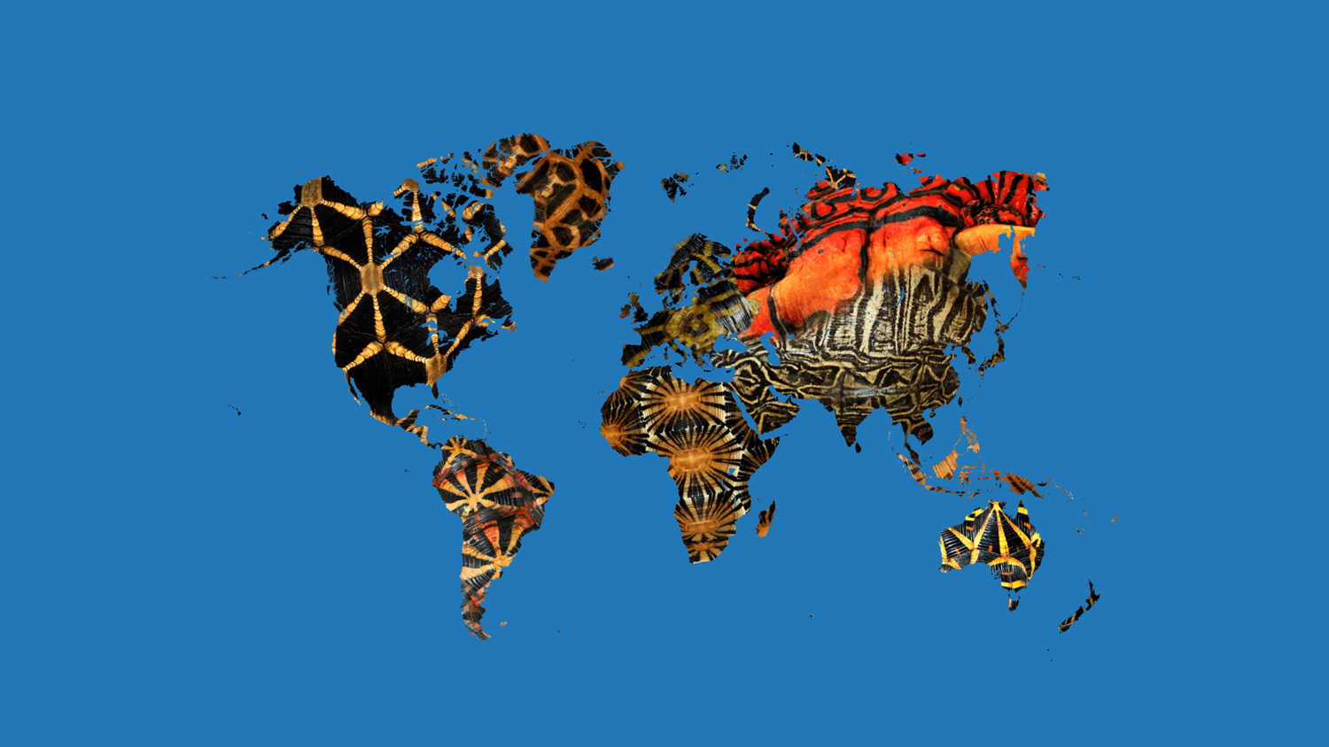 Sustainable Fishing: How Bycatch Reduction Saves Turtles